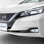 leaf_new_613
